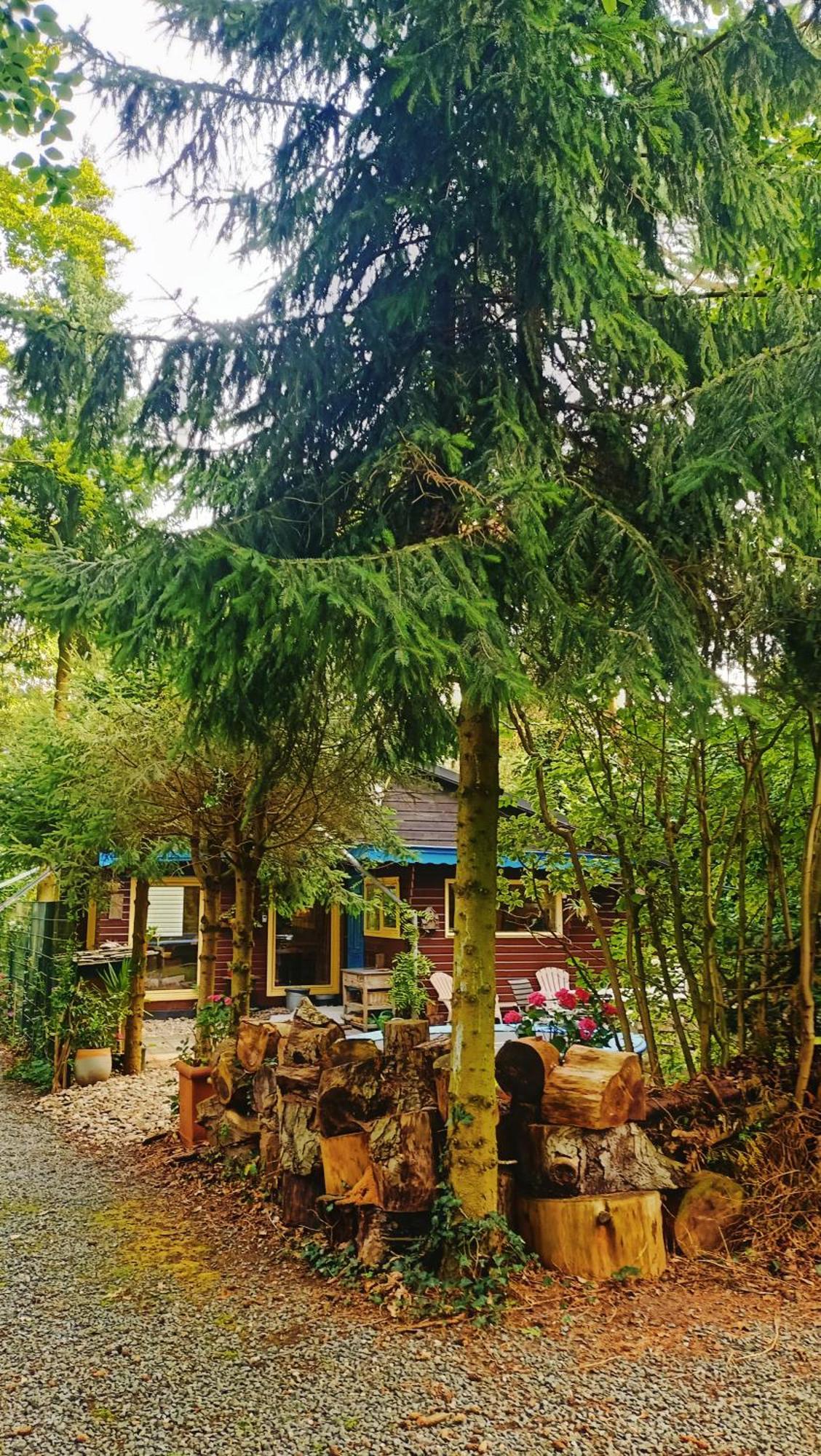 Het Houten Boshuisje Hattemerbroek Exterior photo